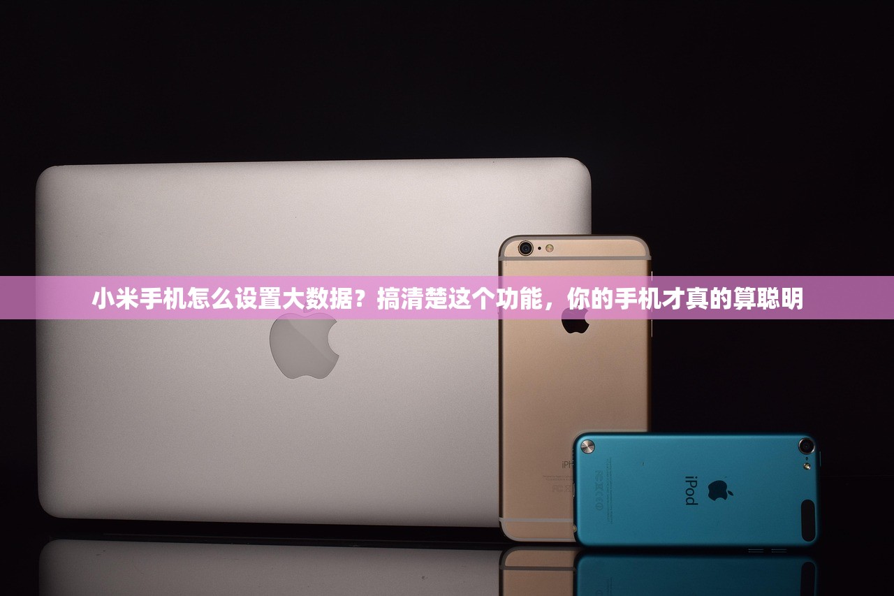 小米手机怎么设置大数据?搞清楚这个功能,你的手机才真的算聪明 小米手机怎么设置大数据?搞清楚这个功能,你的手机才真的算聪明