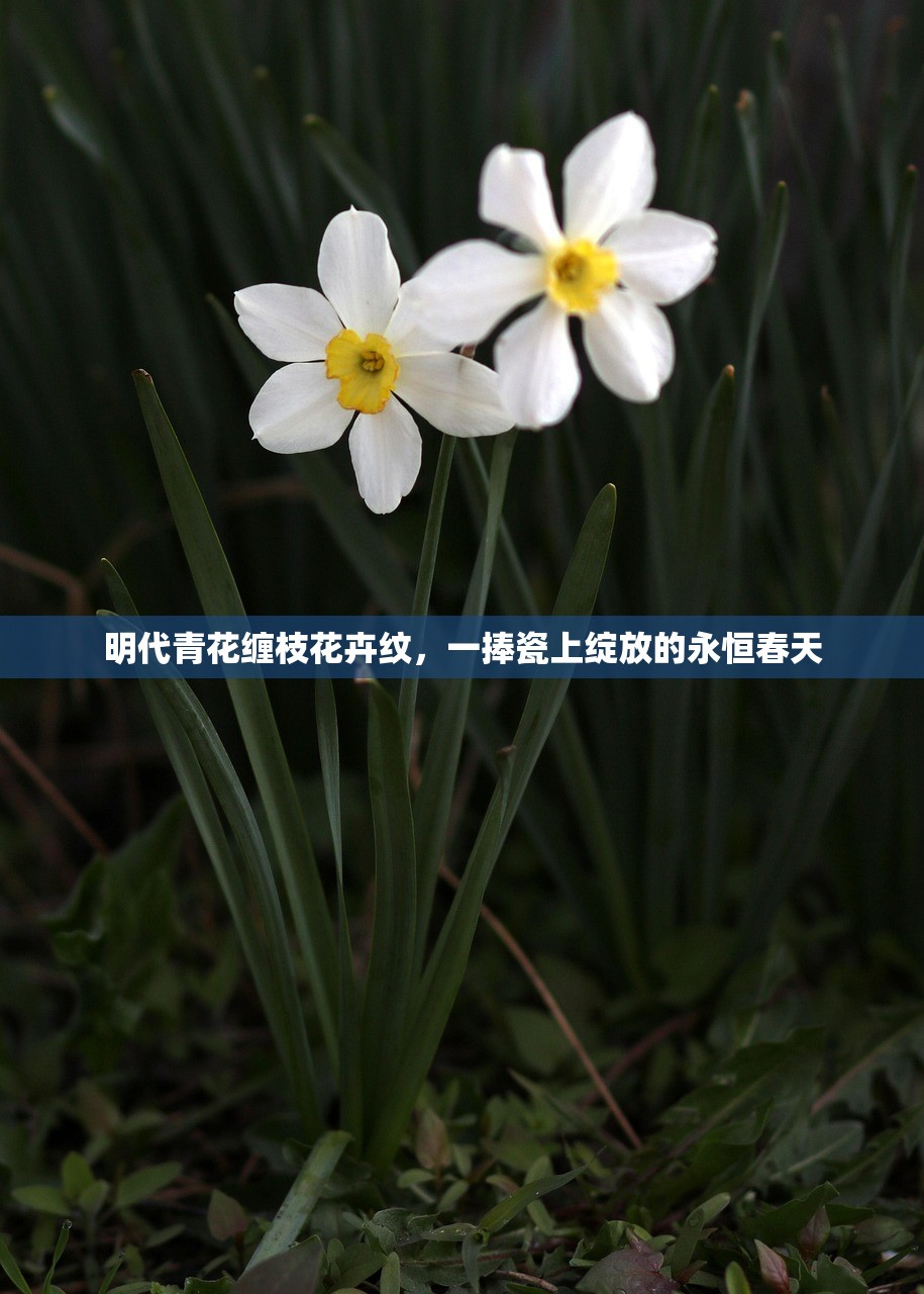 明代青花缠枝花卉纹,一捧瓷上绽放的永恒春天 明代青花缠枝花卉纹,一捧瓷上绽放的永恒春天