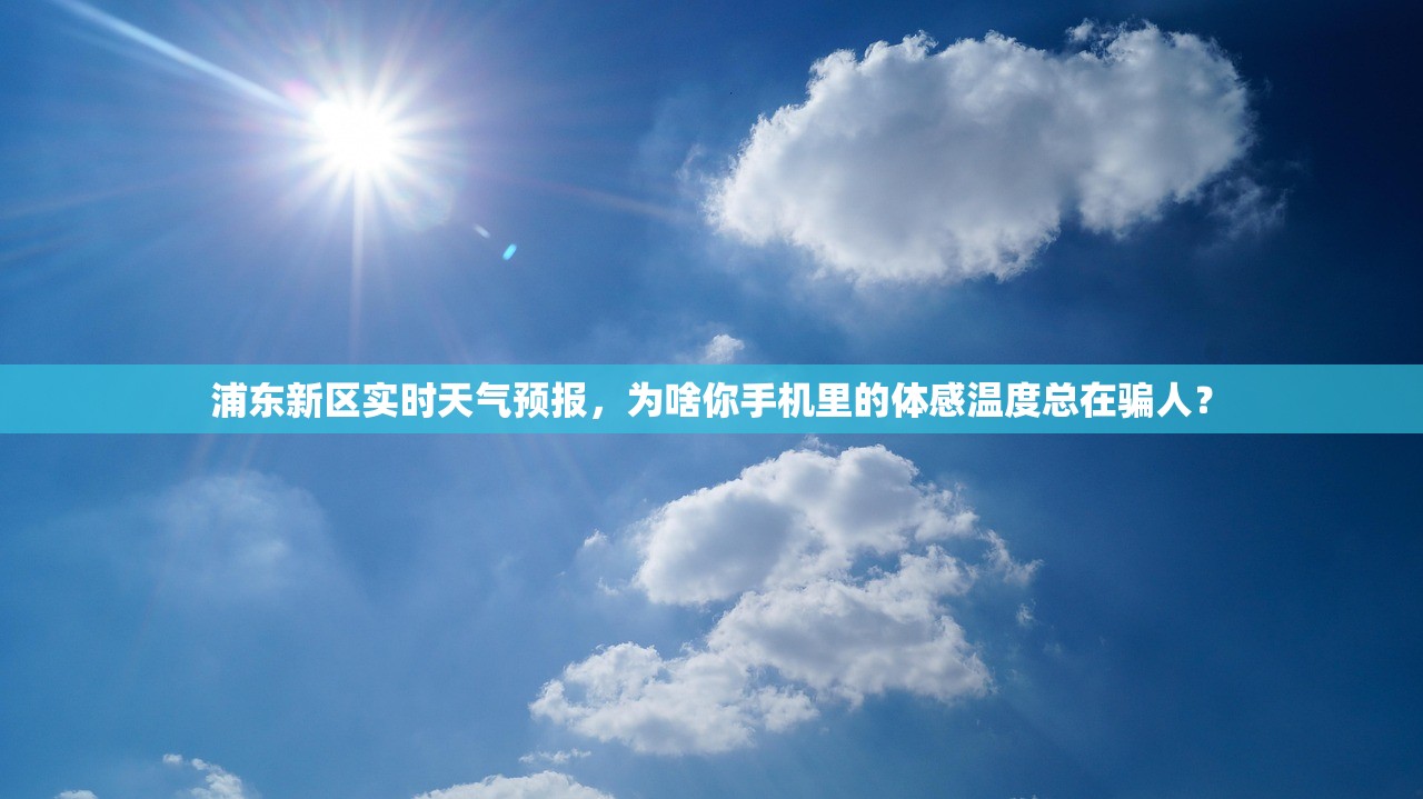 浦东新区实时天气预报,为啥你手机里的体感温度总在骗人? 浦东新区实时天气预报,为啥你手机里的体感温度总在骗人?