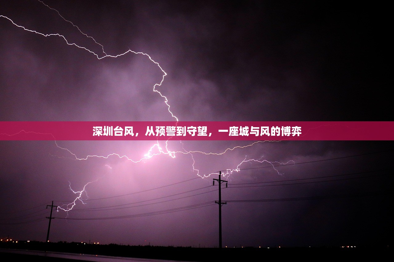 深圳台风，从预警到守望，一座城与风的博弈