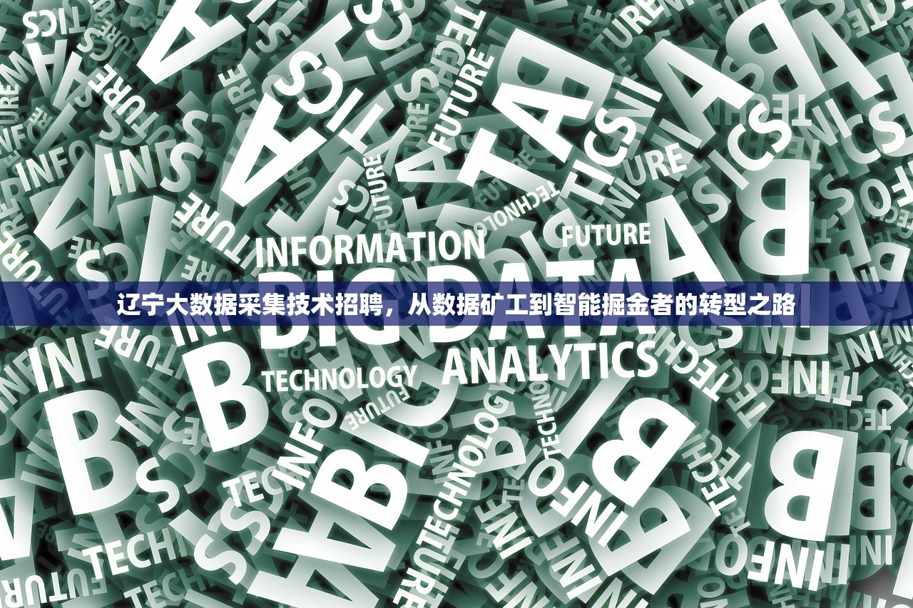 辽宁大数据采集技术招聘，从数据矿工到智能掘金者的转型之路