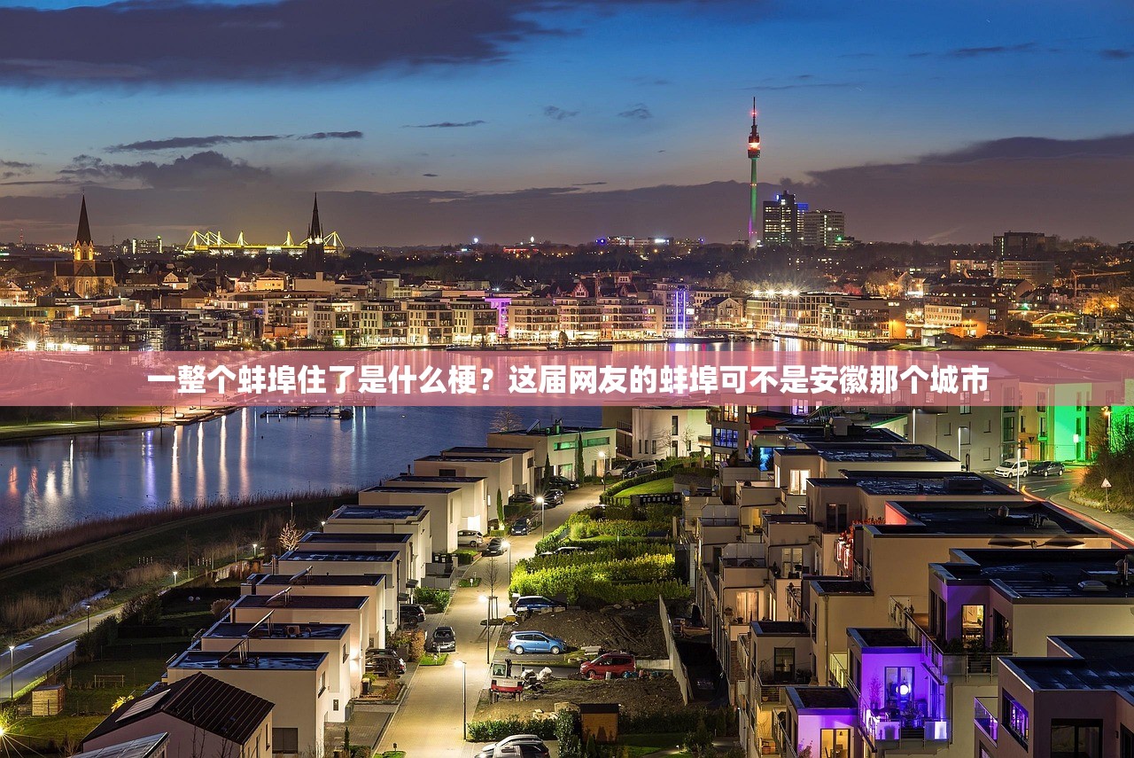 一整个蚌埠住了是什么梗？这届网友的蚌埠可不是安徽那个城市