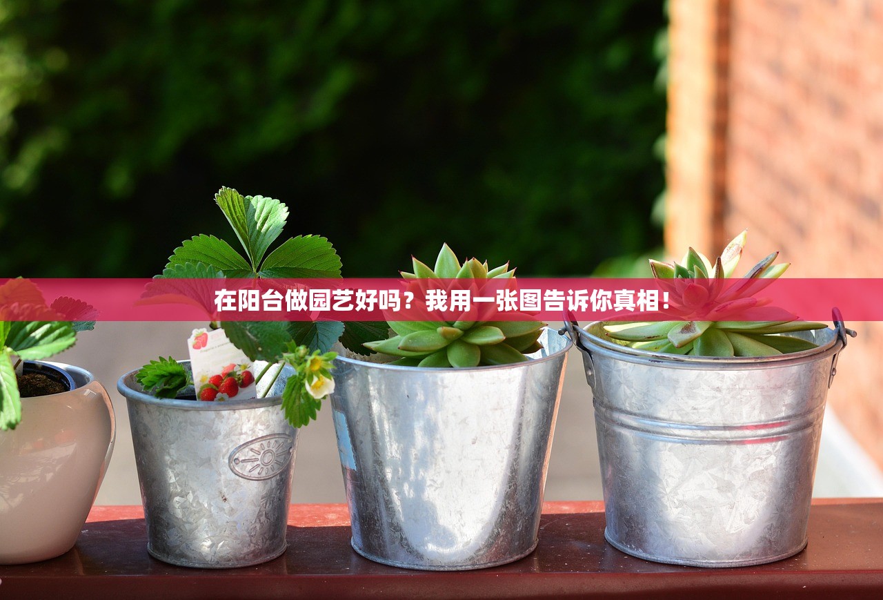 在阳台做园艺好吗？我用一张图告诉你真相！