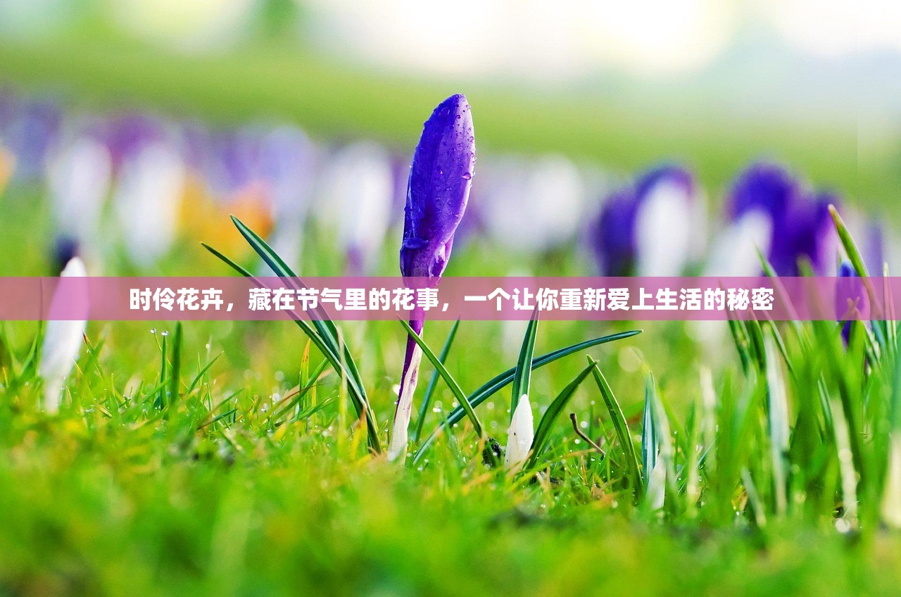 时伶花卉，藏在节气里的花事，一个让你重新爱上生活的秘密