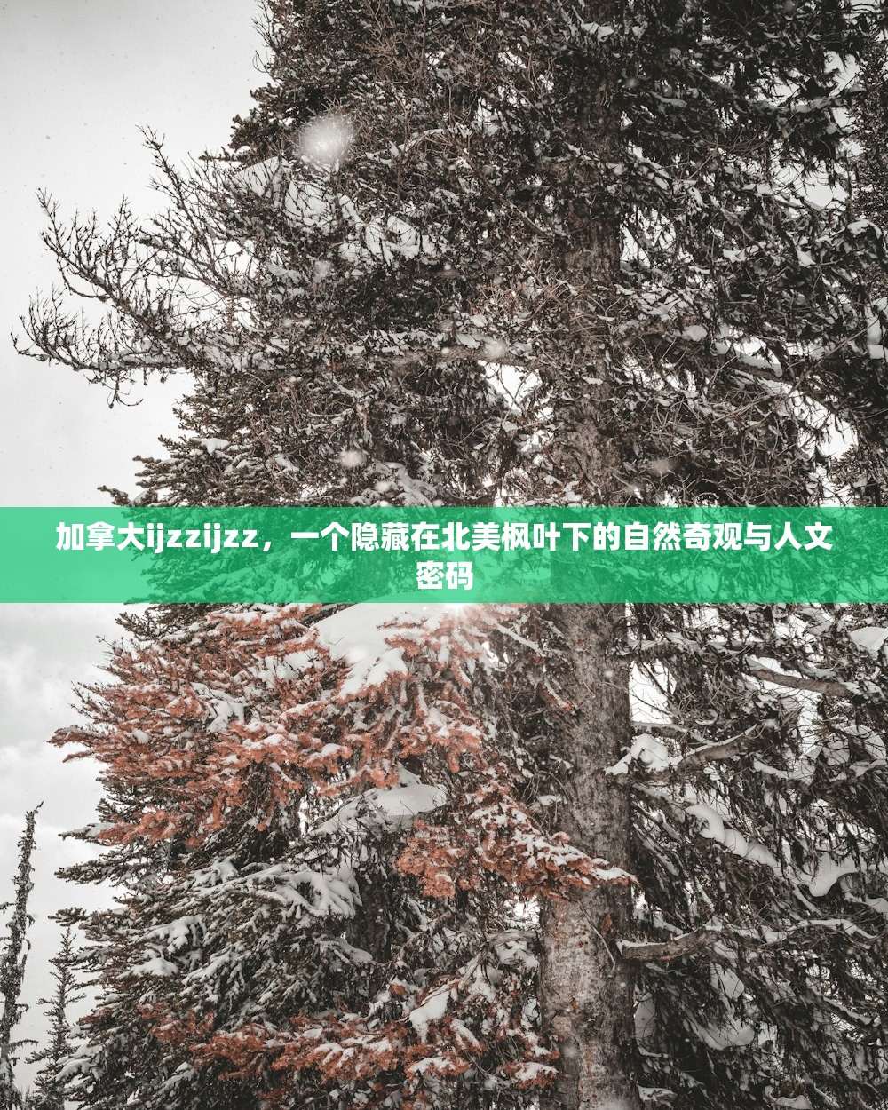 加拿大ijzzijzz，一个隐藏在北美枫叶下的自然奇观与人文密码